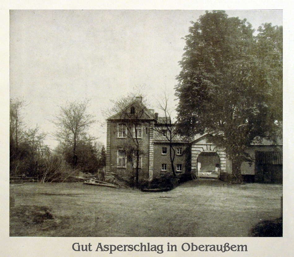 Das Rittergut Asperschlag